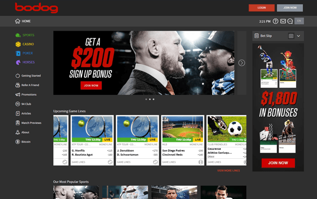 bodog sports